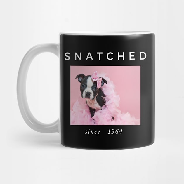 1964 Millennial Snatched Boston Terrier Dog Lover by familycuteycom